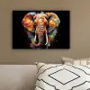 Olifant - Graffiti - Zwart - Dieren - Kleuren canvas 2cm klein -sfeer3