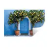 Citroenbomen - Geel - Deur - Potten Muursticker klein -3d