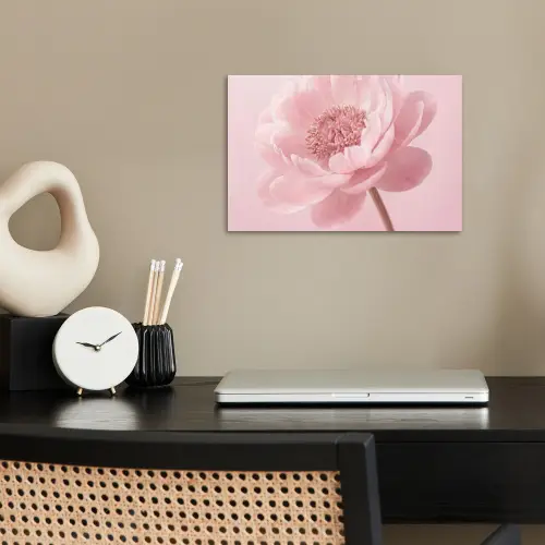 Bloem - Pioenroos - Roze poster papier klein -sfeer1