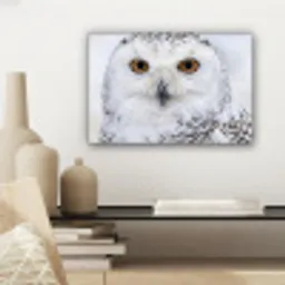 Sneeuwuil - Oog - Wildlife - Wit canvas 2cm klein -sfeer6
