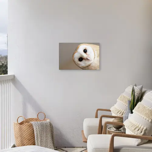 Uil - Bruin - Wit Tuinposter op houten frame 2 cm dik klein -sfeer1