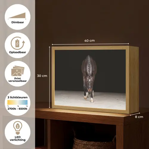 Paard - Modern - Portret Light Box met batterij (Wandlamp) middel -USP_websiteoverzichtNL