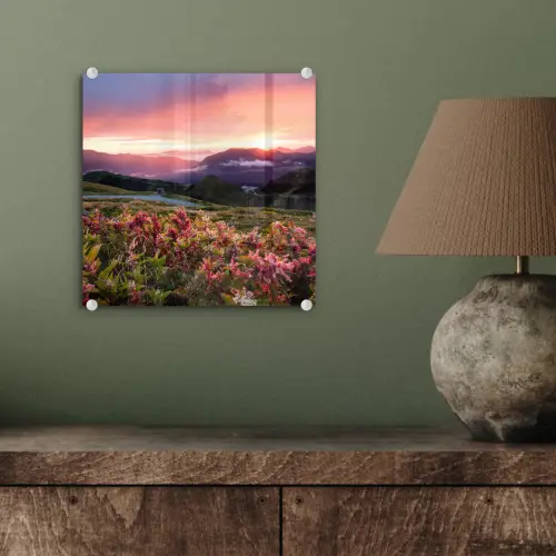 Bloemen - Bergen - Landschap - Nacht - Lucht - Roze plexiglas 5mm klein -sfeer3