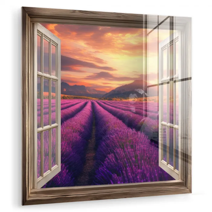 Doorkijk - Lavendel - Landschap - Bloemen - Paars plexiglas 5mm klein -zzzproduct_nieuw