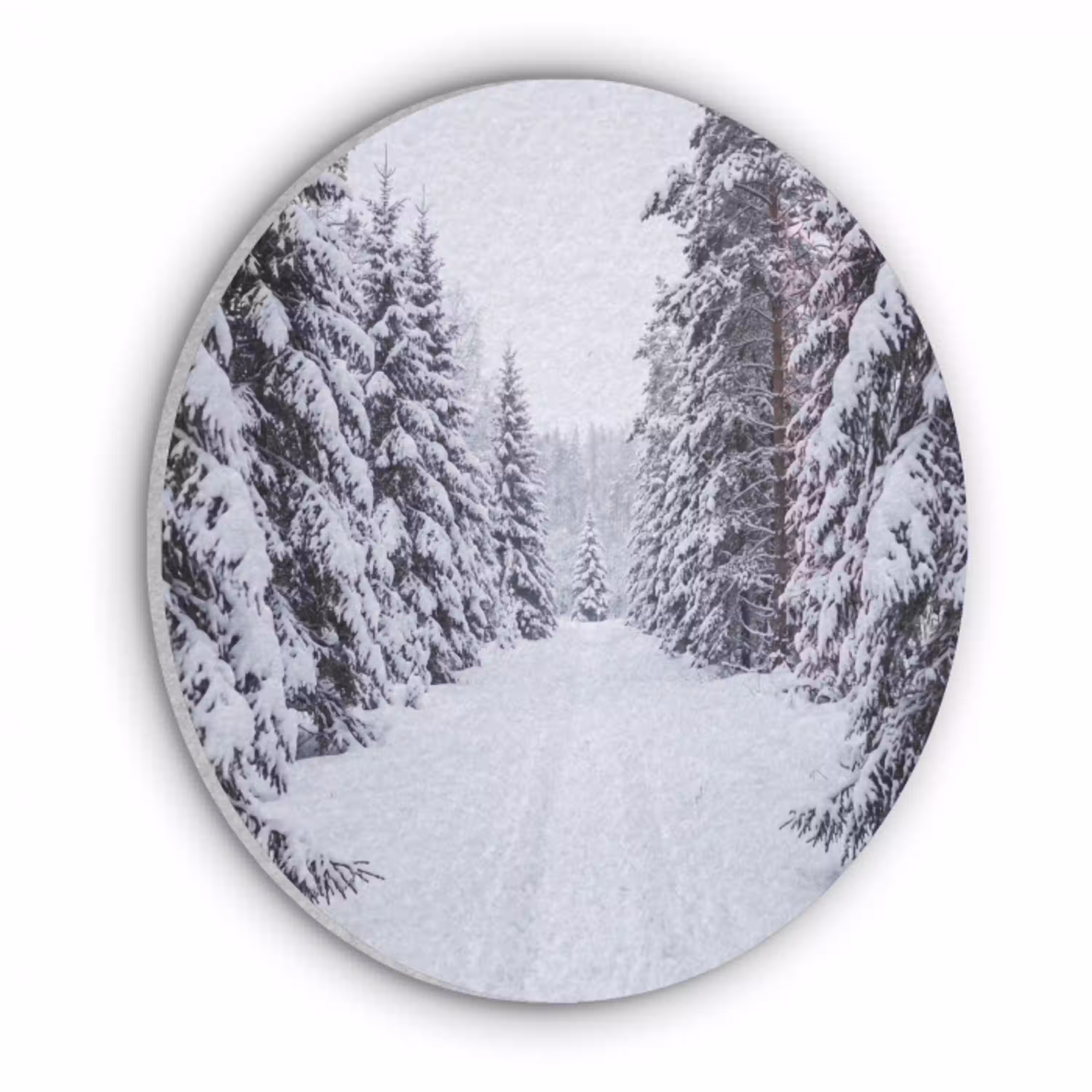 Bos - Winter - Sneeuw - Pad - Natuur Akoestische PET Vilt - Rond klein -3d