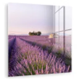 Lavendel - Landschap - Sereen - Paars plexiglas 5mm klein -zzzproduct_nieuw
