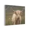 Schotse hooglander - Bergen - Grasveld PET vilt klein -3d