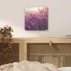 Lavendel - Paars - Zonlicht plexiglas 5mm klein -sfeer4