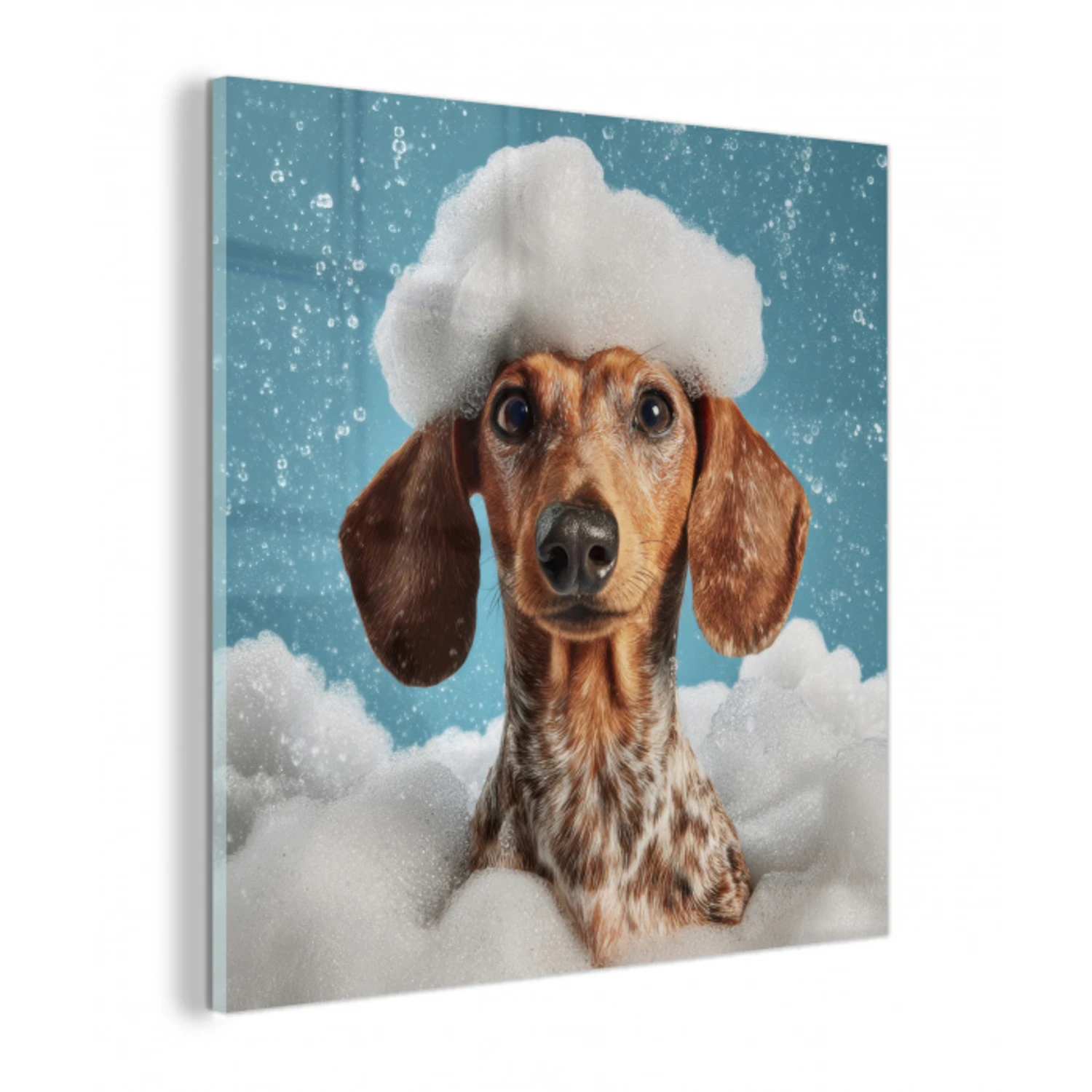 Teckel - Bad - Schuim - Waterdruppels plexiglas 5mm klein -z3d