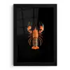 Kreeft - Oranje - Zwart - Modern fotolijst zwart zonder passe partout klein -3d