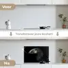 Vogel - Portret - Neushoornvogel - Zwart - Dieren keuken achterwand spatscherm klein -voor_na_NL
