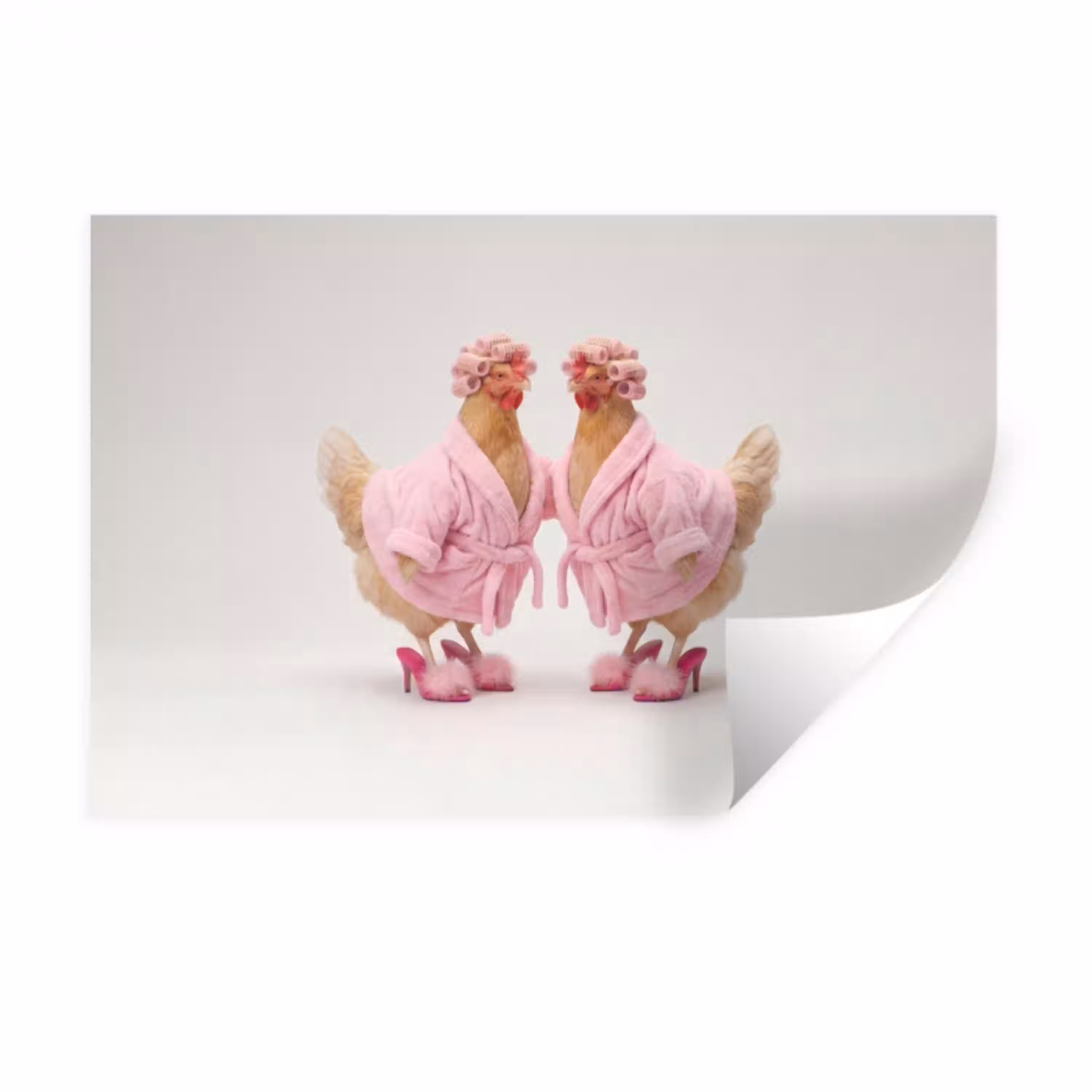 Kippen - Badjas - Krukspelden - Hakken Muursticker klein -3d