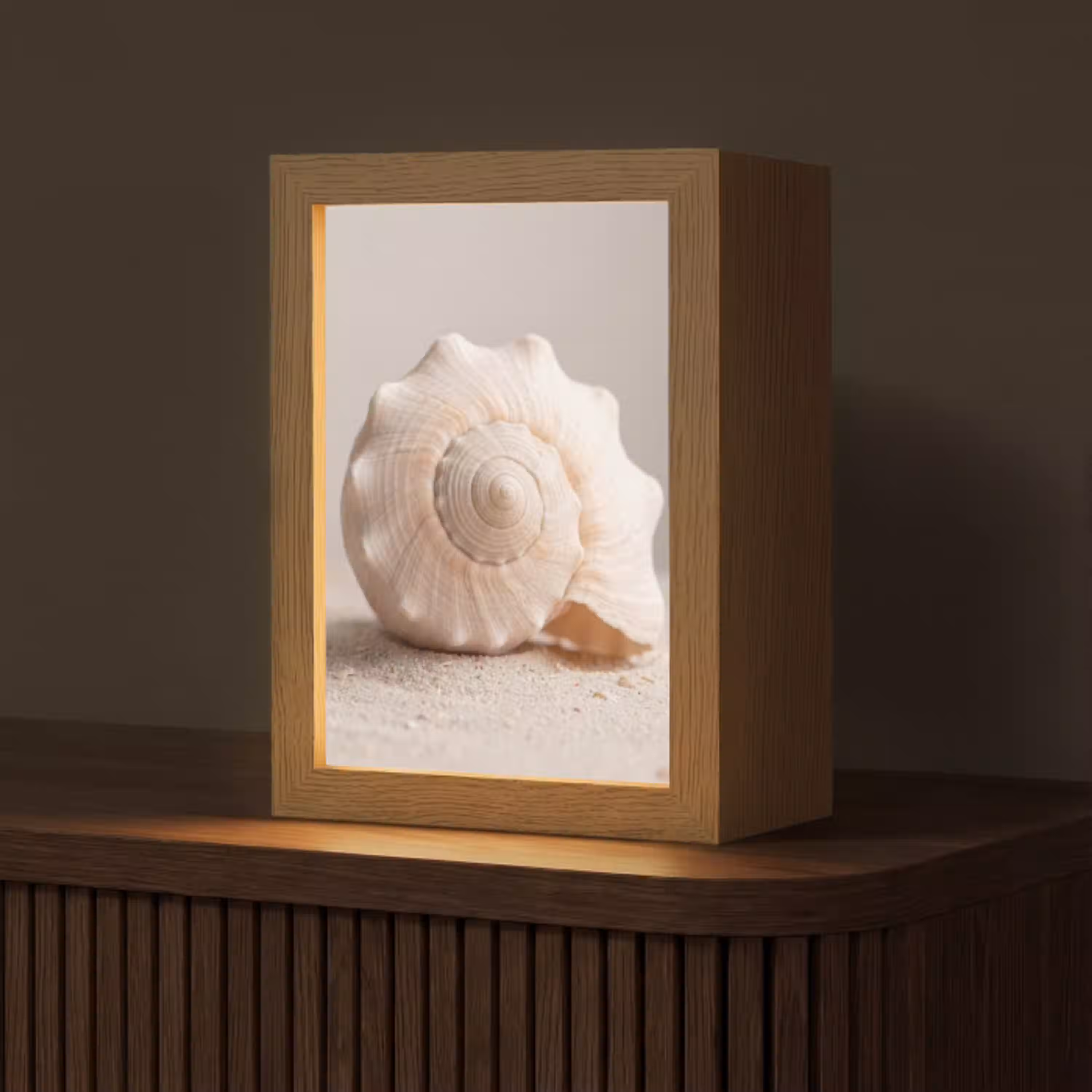 Schelp - Detail - Beige Light Box met kabel (Tafellamp) klein -z3d_website