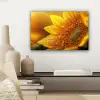 Zonnebloem - Dauwdruppels - Geel - Zonlicht canvas 2cm klein -sfeer6