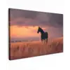 Paard - Wolken - Open veld canvas 2cm klein -z3d
