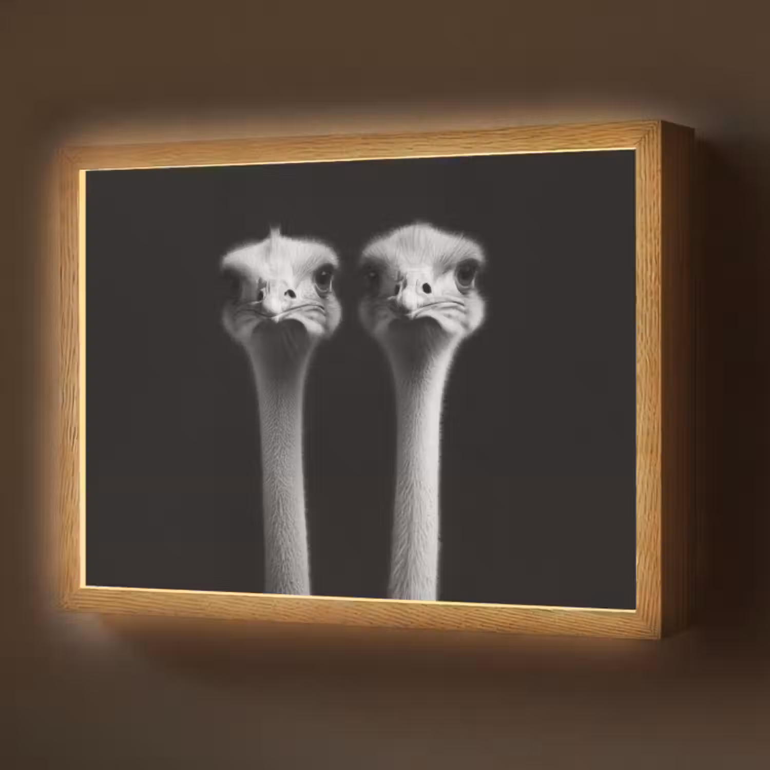Lightbox - Wandlamp - Struisvogels - Halzen - Zwart - Minimalistisch