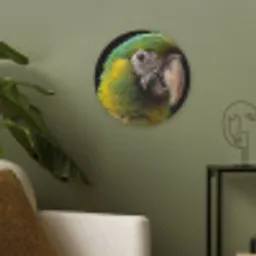 Ara - Portret - Groen Akoestische PET Vilt - Rond klein -sfeer2