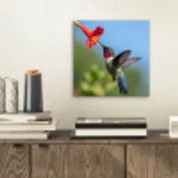 Kolibrie - Bloem - Natuur - Groen aluminium wit klein -sfeer1