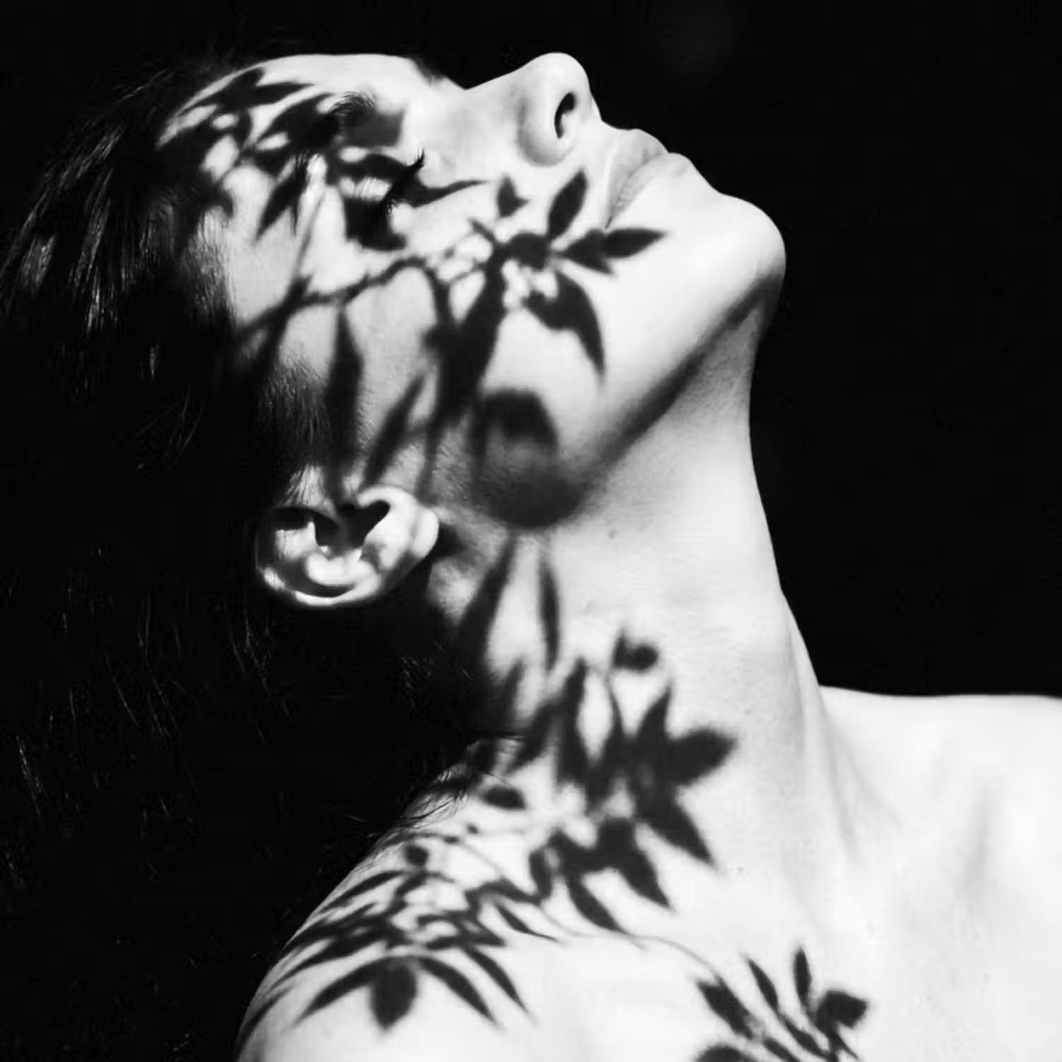 Tapete - Gesicht - Schatten - Laub - Schwarz - Weiß - Intim
