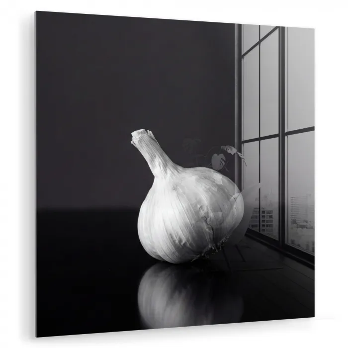 Knoflook - Zwart - Wit plexiglas 5mm klein -zzzproduct_nieuw