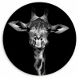 Giraffe - Portret - Dieren - Zwart - Wit Wandcirkel kunststof plaat 5mm dik klein -3d