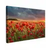 Klaprozenveld bij zonsondergang Tuinposter op houten frame 2 cm dik klein -3d