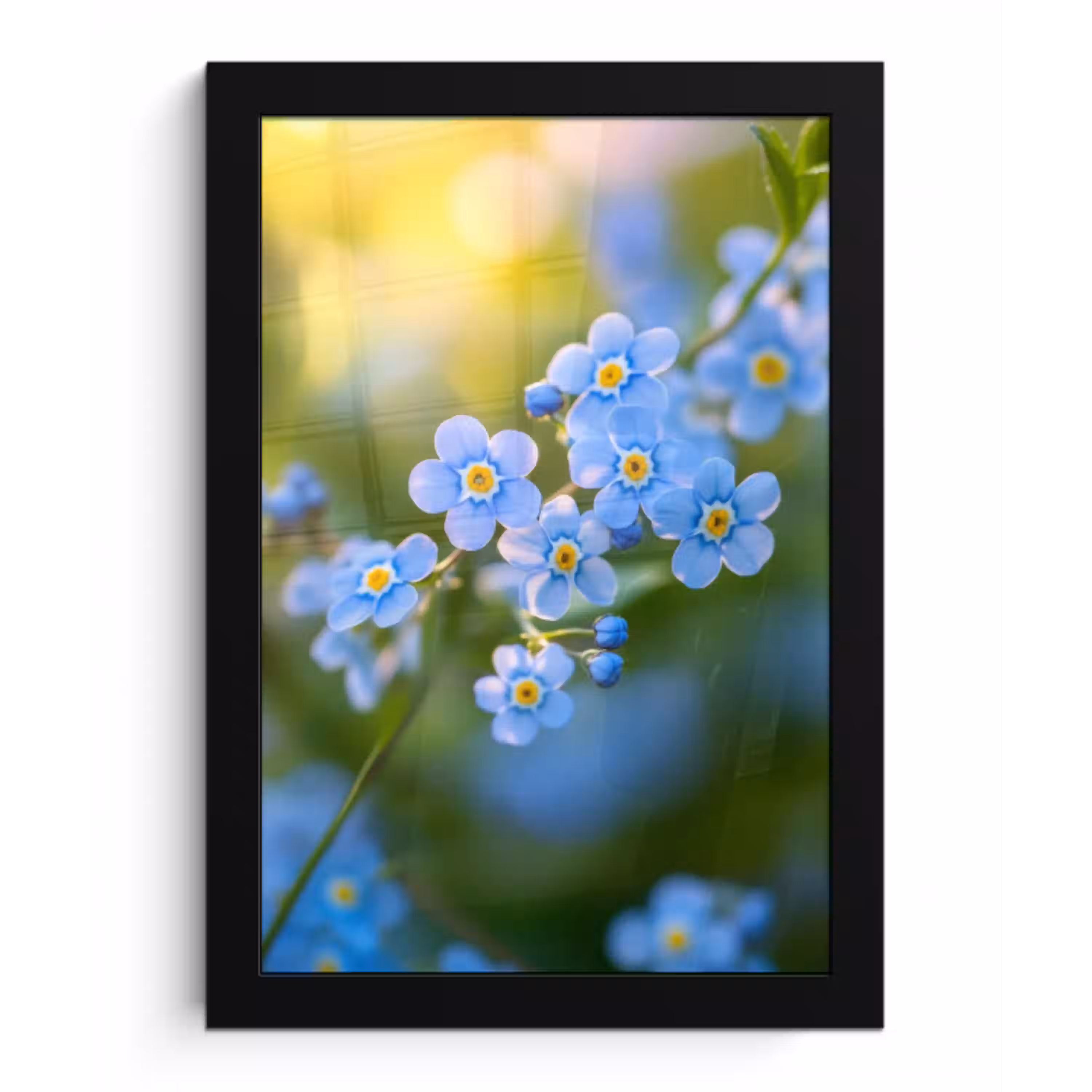 Bloemetjes - Blauw - Vergeet mij nietjes fotolijst zwart zonder passe partout klein -3d