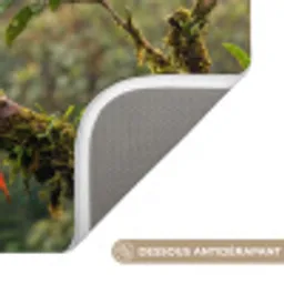 Ara - Jungle - Rood Badmat klein -USP_AntislipFR