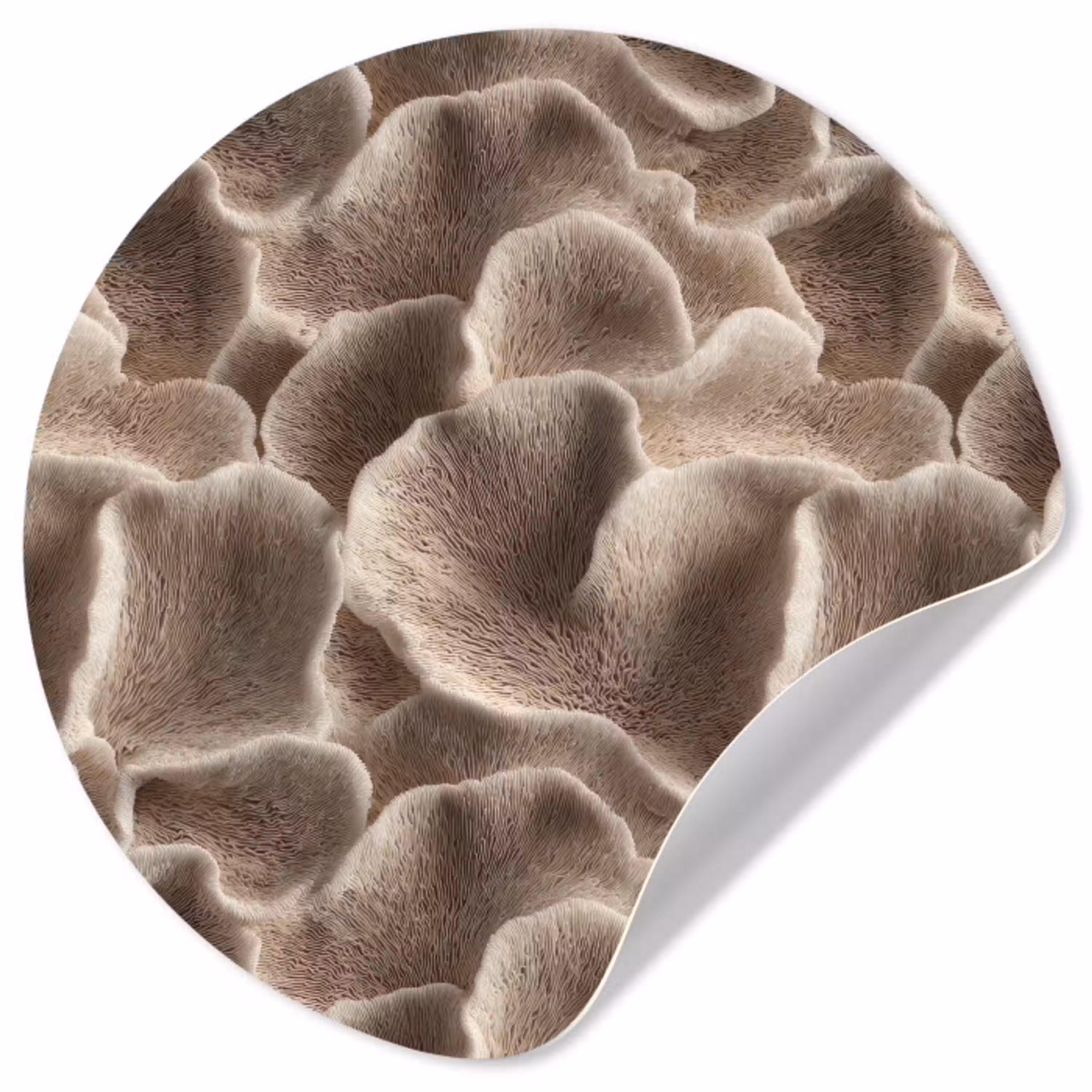 Waaiervorm - Beige - Vezel textuur Wandcirkel behangsticker klein 186 -3d