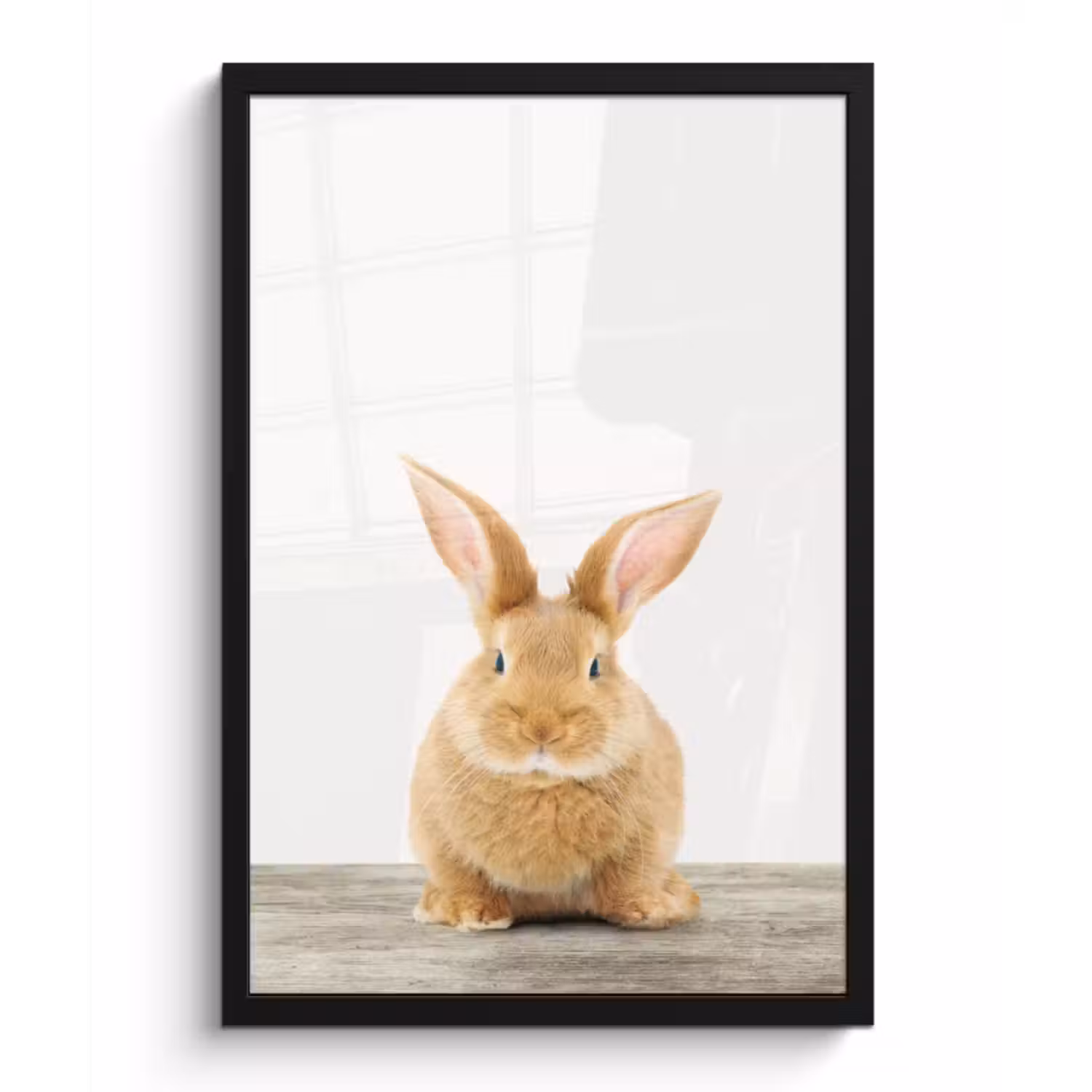 Poster met lijst - Konijn - Baby konijn - Dieren - Kind - Meisjes - Jongens