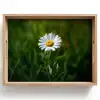 Wit - Madeliefje - Bloem - Gras Dienblad Rechthoek middel -z3d_shopping