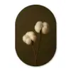 Takken - Katoen - Wit - Bollen Wandcirkel Ovaal Forex klein -3d