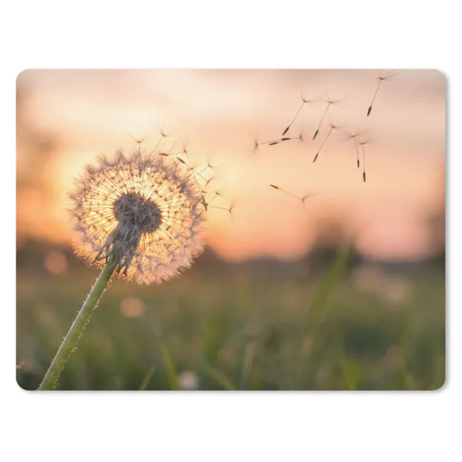 Mouse Pad - Dandelion - Sunset - Field
