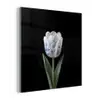 Tulp - Patroon - Blauw plexiglas 5mm klein -z3d