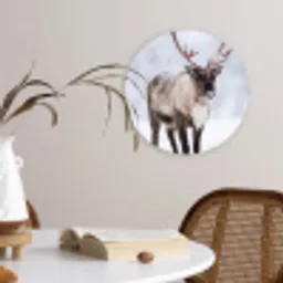 Rendier - Gewei - Toendra - Sneeuw - Wild Wandcirkel kunststof plaat 5mm dik klein -sfeer4