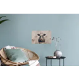 Koe - Portret - Dieren - Modern Muursticker klein -plant