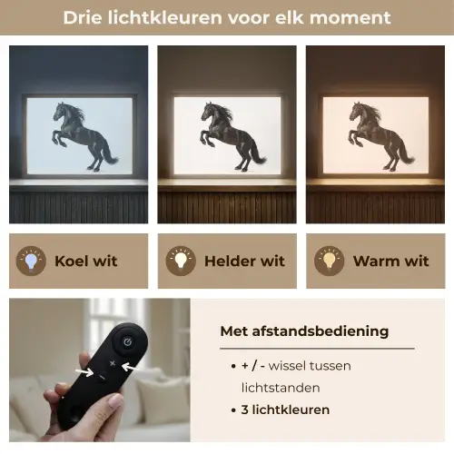 Zwart - Paard - Portret Light Box met batterij (Wandlamp) middel -USP_lichtkleurNL