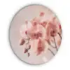 Orchidee - Bloemen - Roze - Bloemblaadjes Akoestische PET Vilt - Rond klein -3d