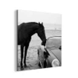 Paard - Auto - Zwart - Wit aluminium wit klein -3d