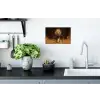 Leeuw - Geschilderd - Abstract - Goud Muursticker klein -keuken