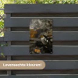 Vogel - Kolibrie - Goud tuinposter los doek klein -sfeer3