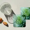 Blad - Plant - Groen - Textuur onderzetter kurk middel -sfeer4