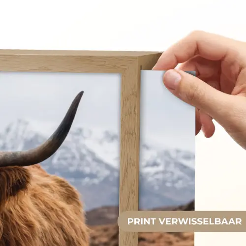Schotse hooglander - Bruin - Water Light Box met batterij (Wandlamp) middel -USP_websiteprintNL