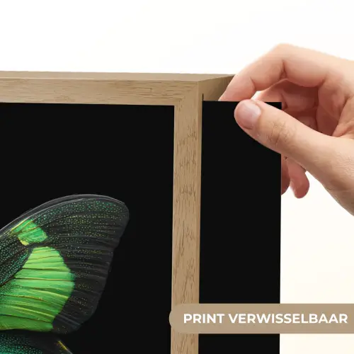 Vlinder - Groen - Opvallend Light Box met batterij (Wandlamp) middel -USP_websiteprintNL