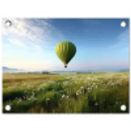 Groene luchtballon - Weide - bloemen tuinposter los doek klein -3d