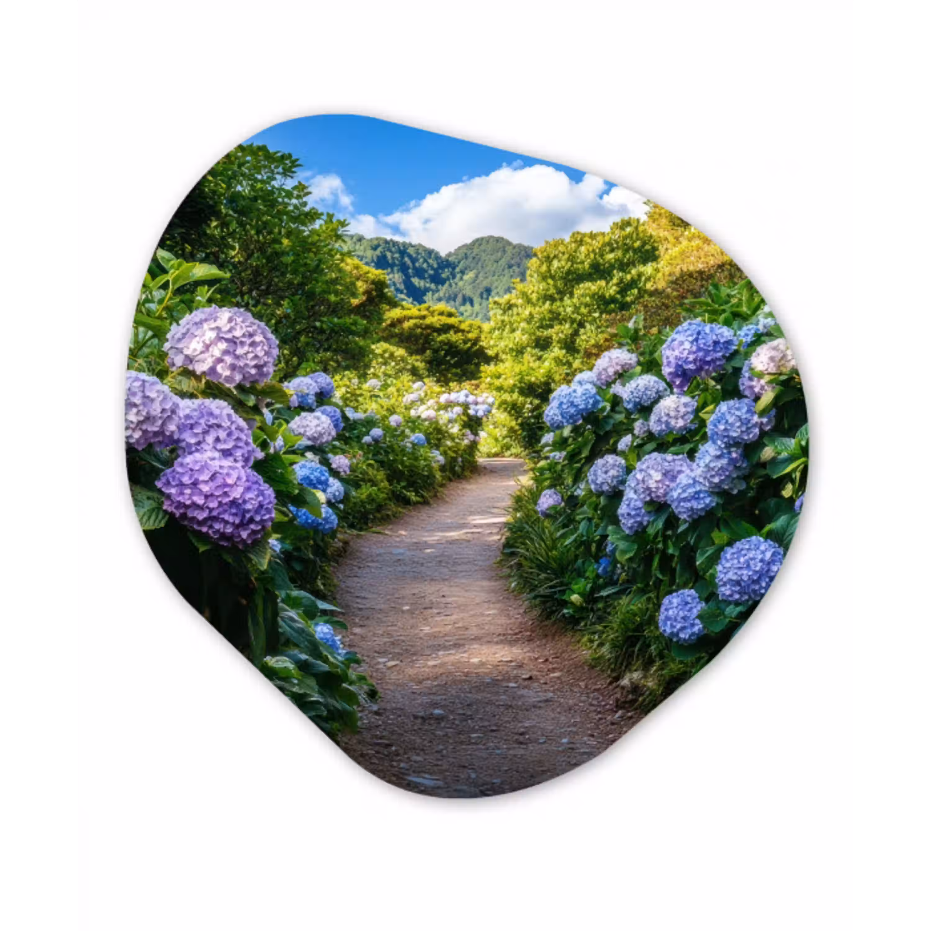 Hortsensia - Pad - Bloemen Wandcirkel Organisch Plexiglas middel -3d
