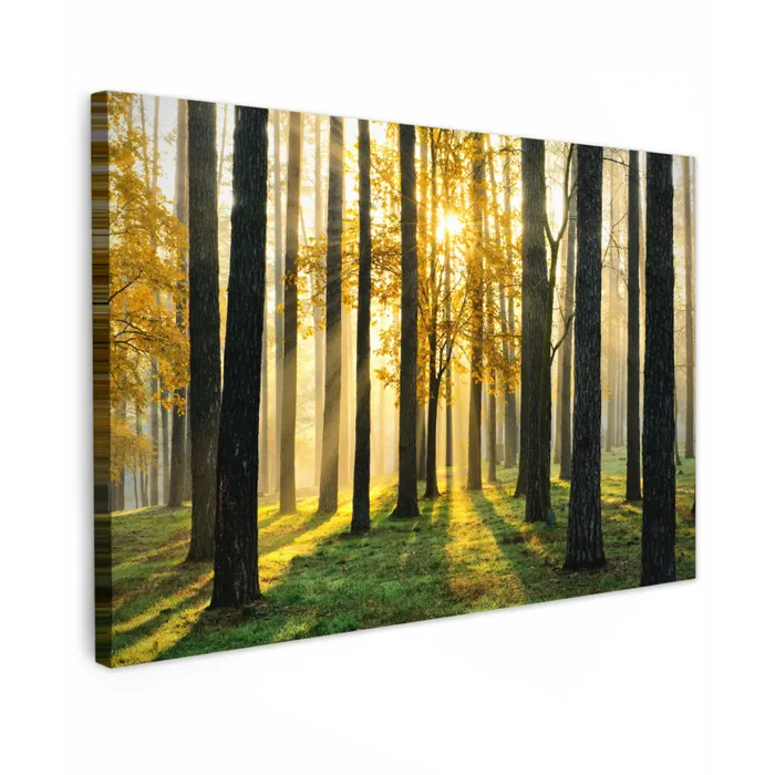 Bos - Zon - Bomen - Gras - Landschap  - Natuur Tuinposter op houten frame 2 cm dik klein -3d