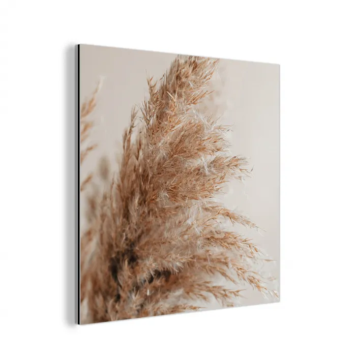 Gras - Planten - Natuur - Pampasgras aluminium wit klein -3d