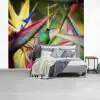 Kleurrijke vogel tussen allemaal kleurrijke platen fotobehang vinyl groot -slaapkamer