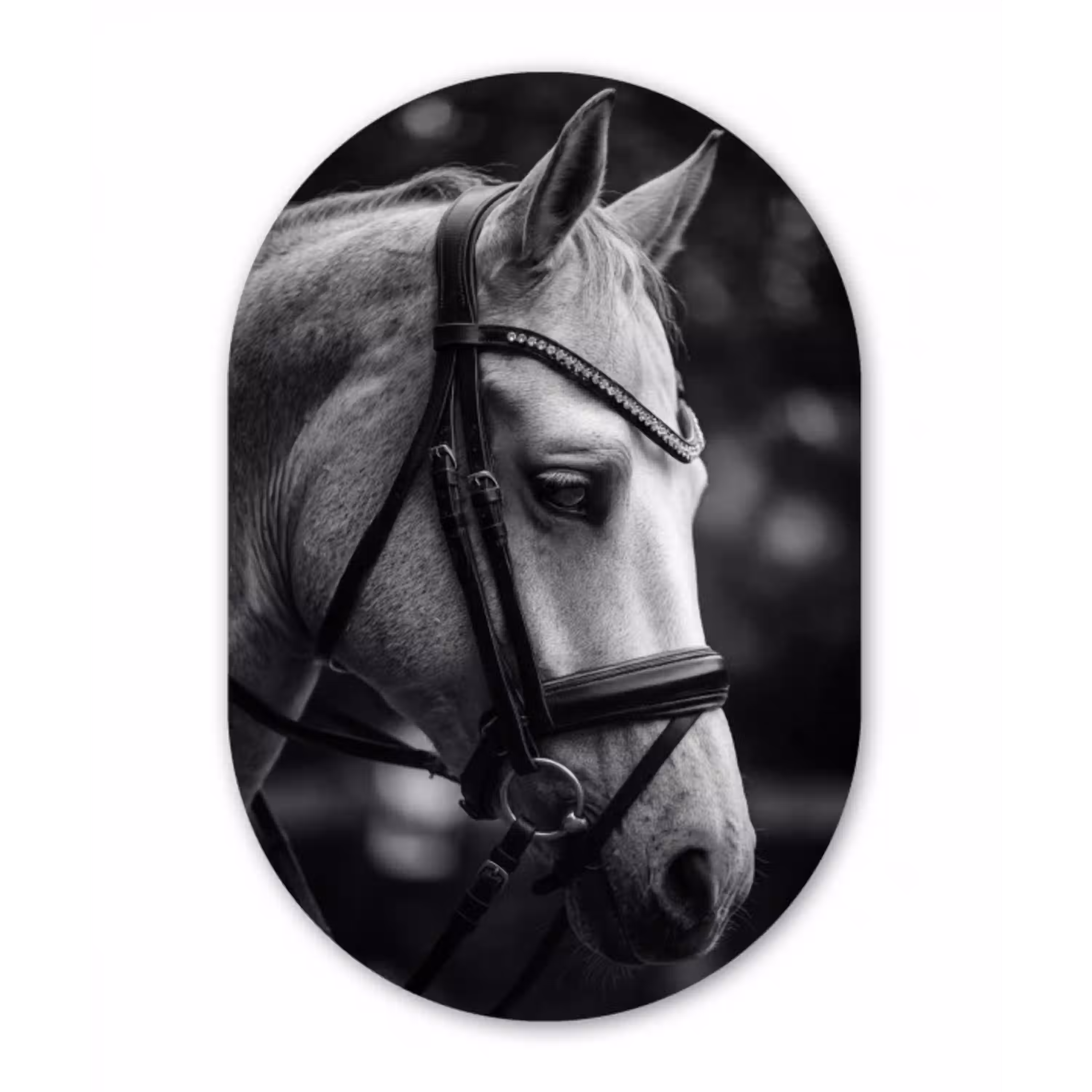 Paard - Schimmel - Portret Wandcirkel Ovaal Aluminium middel -3d